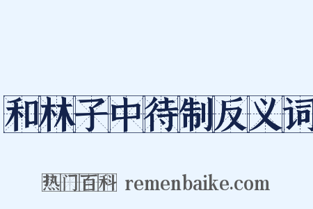 和林子中待制反义词是什么意思的图片
